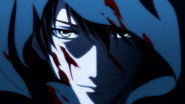 DE - Hakkenden: Eight Dogs of the East (2013) (Ger