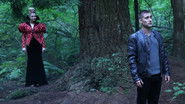 D+ - Once Upon a Time in Wonderland