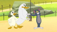 EN - Tom And Jerry In New York (2021)