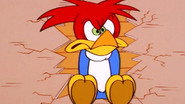EN - The New Woody Woodpecker