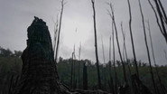 EN - Alone Australia (2023)
