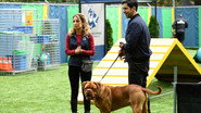 [SE] Turner & Hooch S01 E01