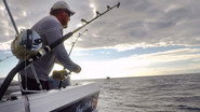 EN - Deadliest Catch: Bloodline (2020)