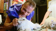 EN - Dangerous Breed: Crime. Cons. Cats. (2022)