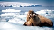 EN - Blue Planet II 4K (2017)