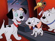 SC - 101 Dalmatians