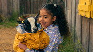 EN - Lovely Little Farm (2022)