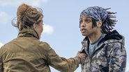 FR - Harry Wild S01 E01