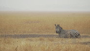 D+ - Africa's Hidden Wonders