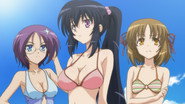 DE - Omamori Himari (2010) (Ger