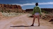 PL - BREAKING BAD S01 E01