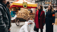 FR - Disparition inquiétante