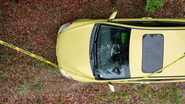 EN - Murdaugh Murders: A