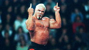 EN - Who Killed WCW? (2024)