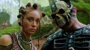 IN - Willow