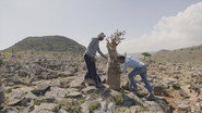 NL - OASES IN DE ORIENT S01 E01