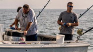 EN - Wicked Tuna (2012)