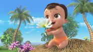 NL - KLEINE BHEEM (2019) S01 E01
