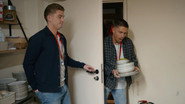 NL - HAZES EN HOOGKAMER