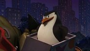 DE - Die Pinguine aus Madagascar (2008) S01 E01