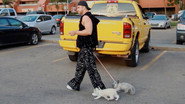 EN - Dangerous Breed: Crime. Cons. Cats. (2022) S01 E01