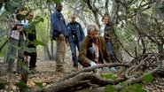 SC - Bosch S01 E01