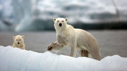 DE - BBC Earth: Die größten Naturereignisse (2009) S01 E01