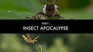FR - Les insectes, super-héros en minuscule (2025) (US) S01 E01