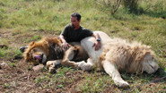 D+ - The Lion Ranger S01 E01