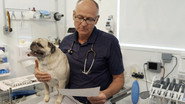QFR - Vie de vet (CA) S01 E01