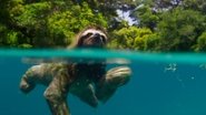 EN - Planet Earth II (UHD) (2016) S01 E01