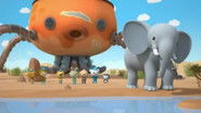 NF - Octonauts: Above & Beyond