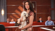 EN - Drop Dead Diva (2009) S05 E04