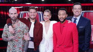 EN - The Voice (2011) (US) S27 E18