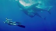 D+ - Welcome to Earth S01 E01
