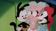 EN - Animaniacs (1993-1998) S01 E01