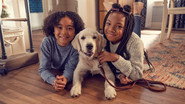 FR - Mission : adoption S01 E01