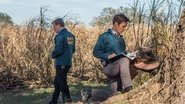 IN - True Detective (2014) S01 E01