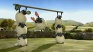 DK - Shaun the Sheep S01 E01