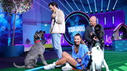 DE - Top Dog Germany: Der beste Hund Deutschlands (2021) (DE) S01 E01