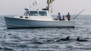 EN - Wicked Tuna (2012) S10 E01