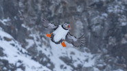 EN - Wild Scandinavia (2023) S01 E01
