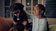 AR - Puppy Place (2021) S02 E01