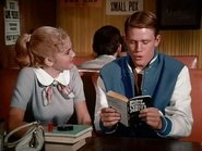 FR - Happy Days - Les Jours heureux (US) S01 E01