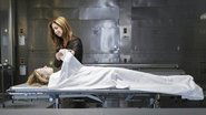 NL - BODY OF PROOF S01 E01