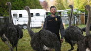 AR - Animal Control (2023) S01 E01