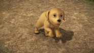 NF - Alvinnn!!! and The Chipmunks S02 E01