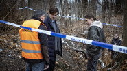 PL - RYSA - UKŁAD S01 E01