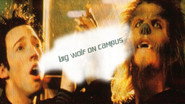 EN - Big Wolf On Campus (1999-2002)
