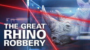 [SE] The Great Rhino Robbery